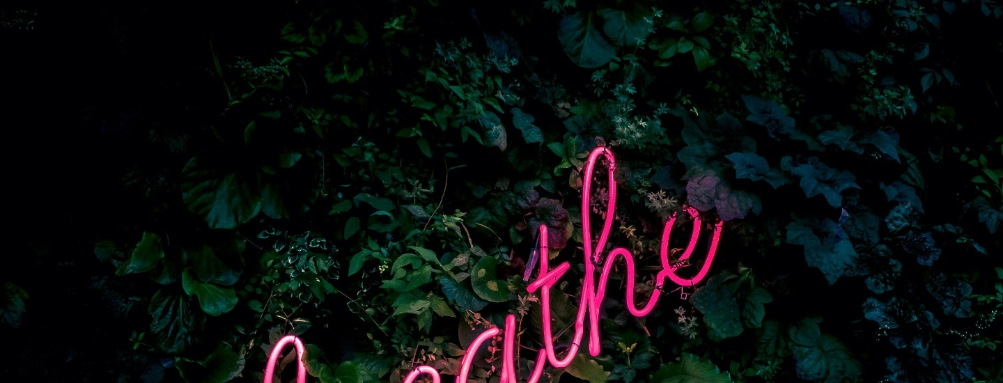 Leading with Authority: Examples and Insights