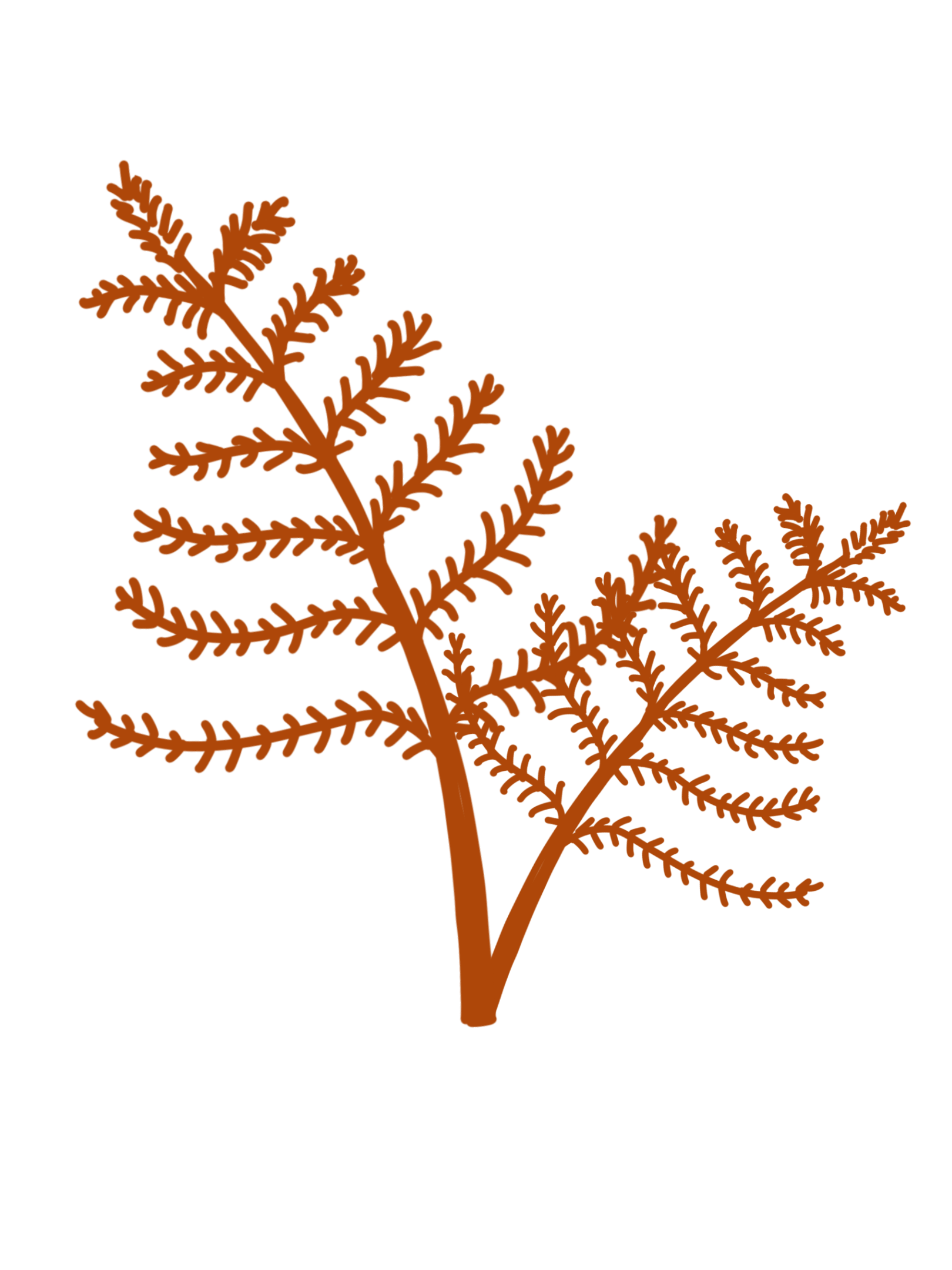 HeartBee Flowers · Winchester