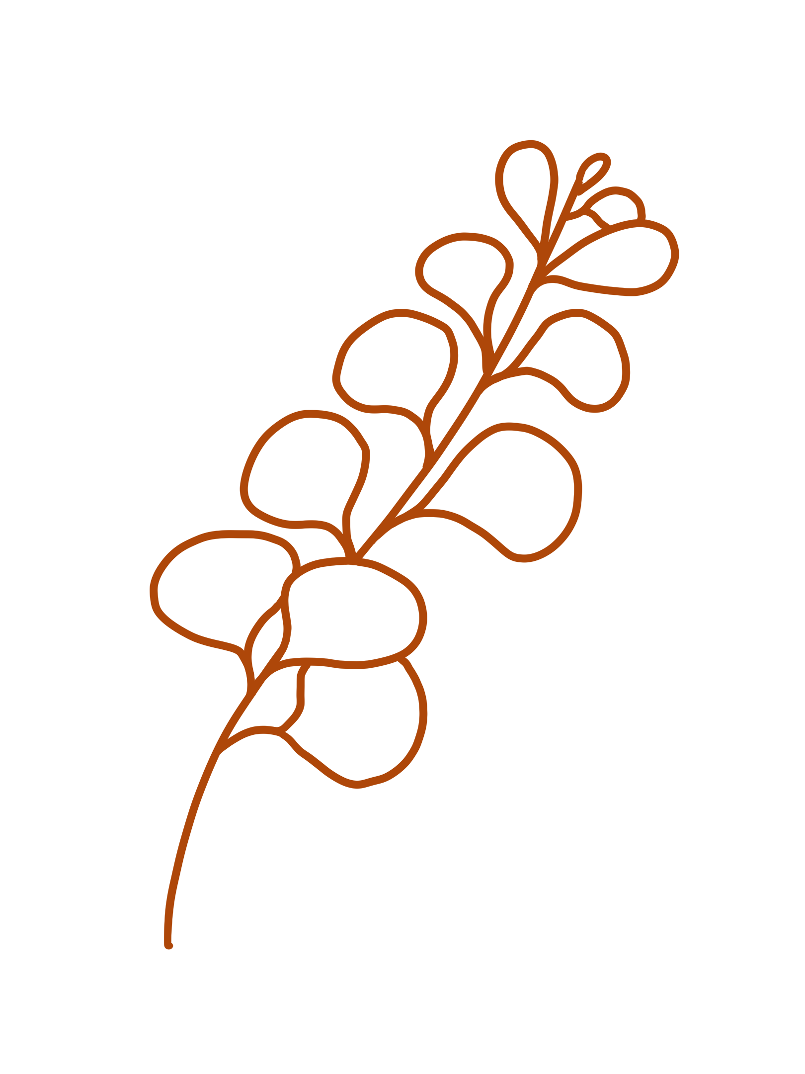 HeartBee Flowers · Winchester