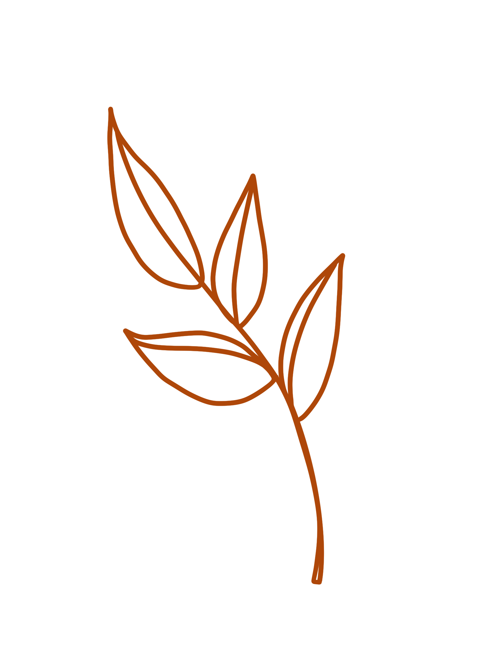 HeartBee Flowers · Winchester