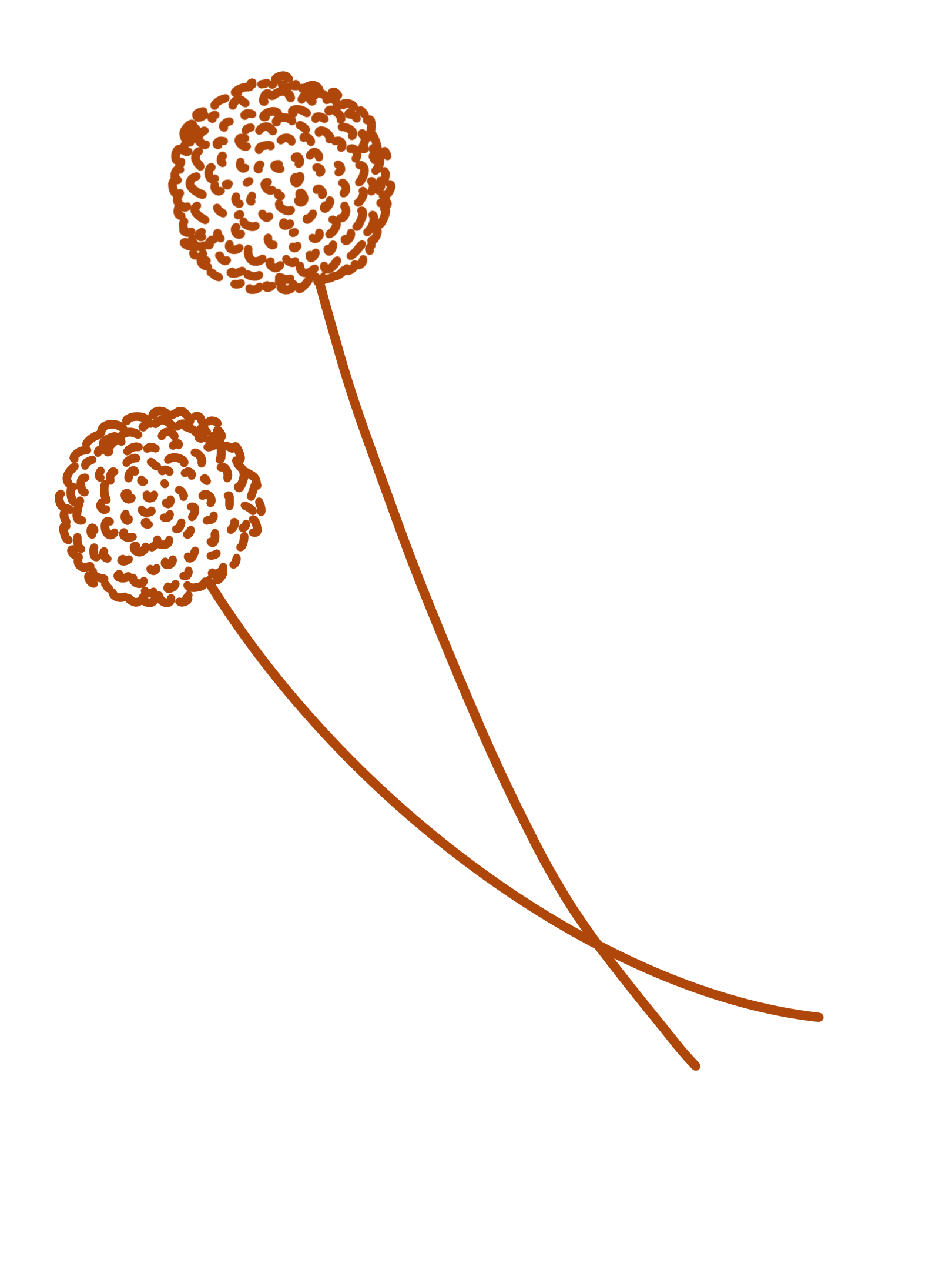 HeartBee Flowers · Winchester