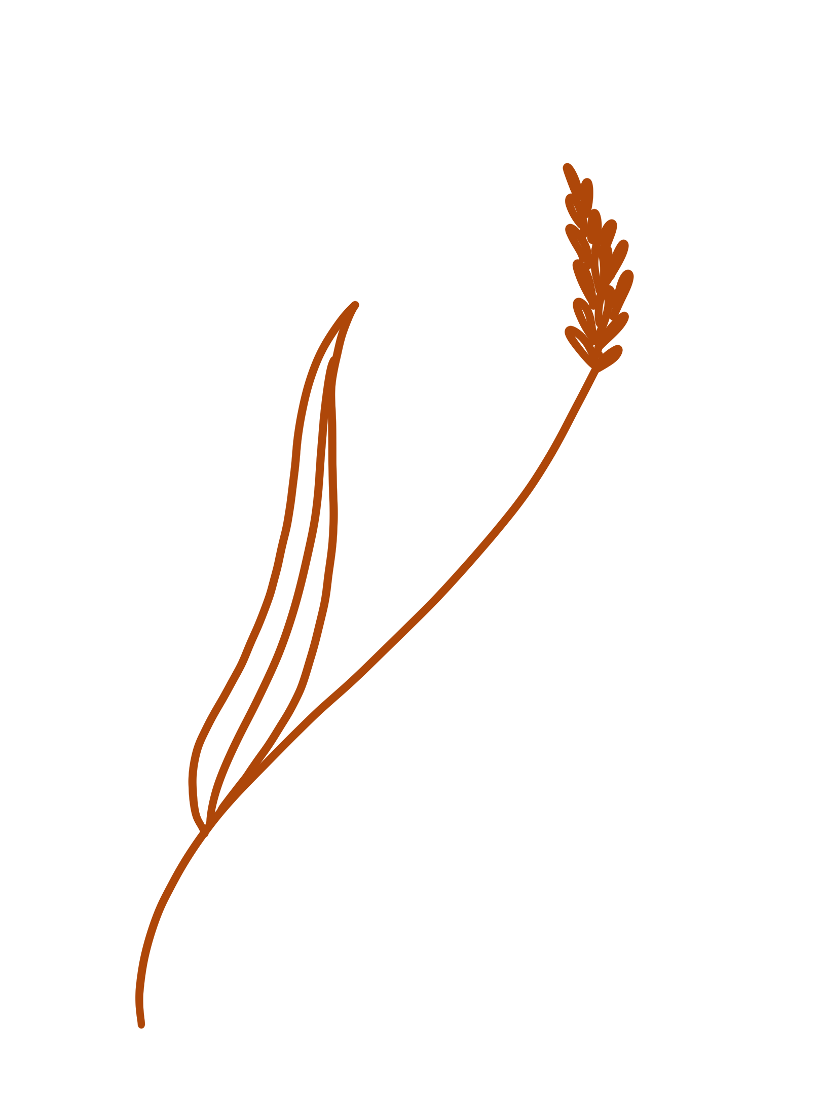 HeartBee Flowers · Winchester