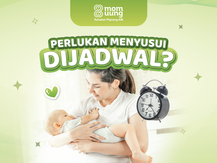 MENYUSUI PERLUKAH DIJADWAL?