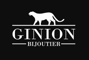 Logo Ginion