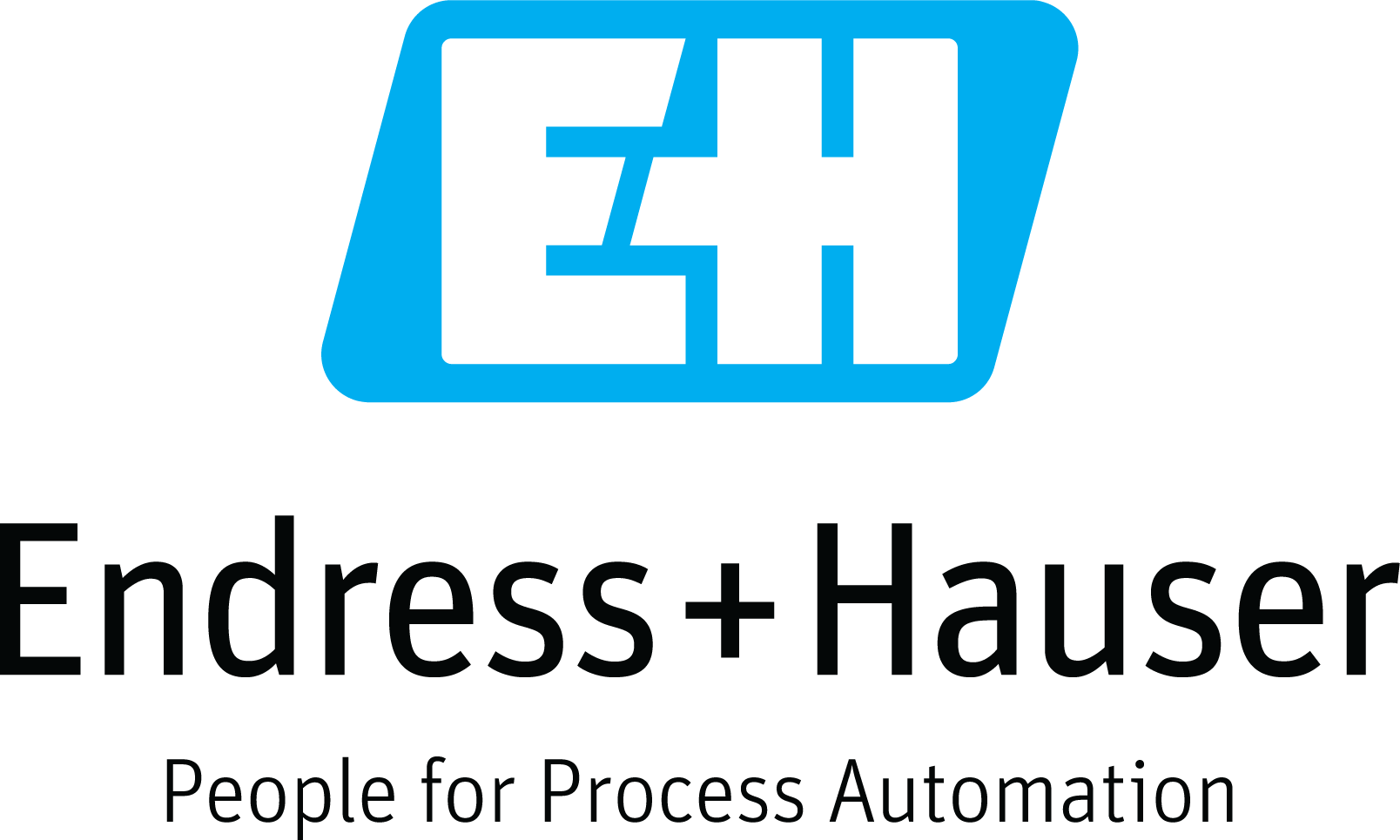 Logo Endress + Hauser Belgique