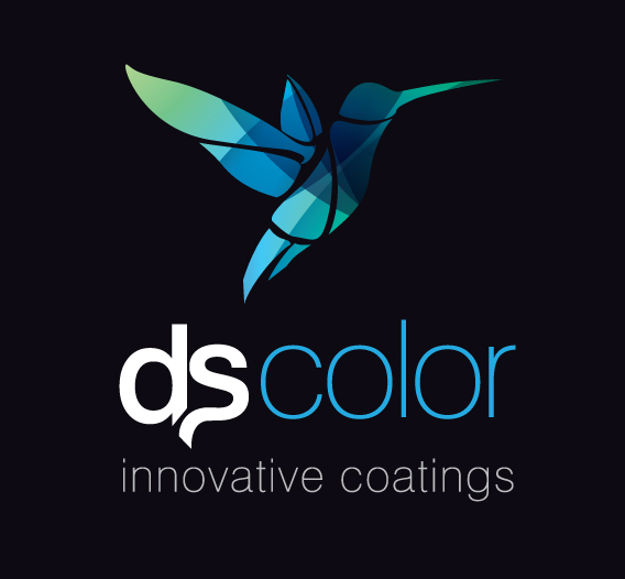 Logo DS Color