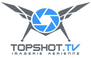 Logo Topshot