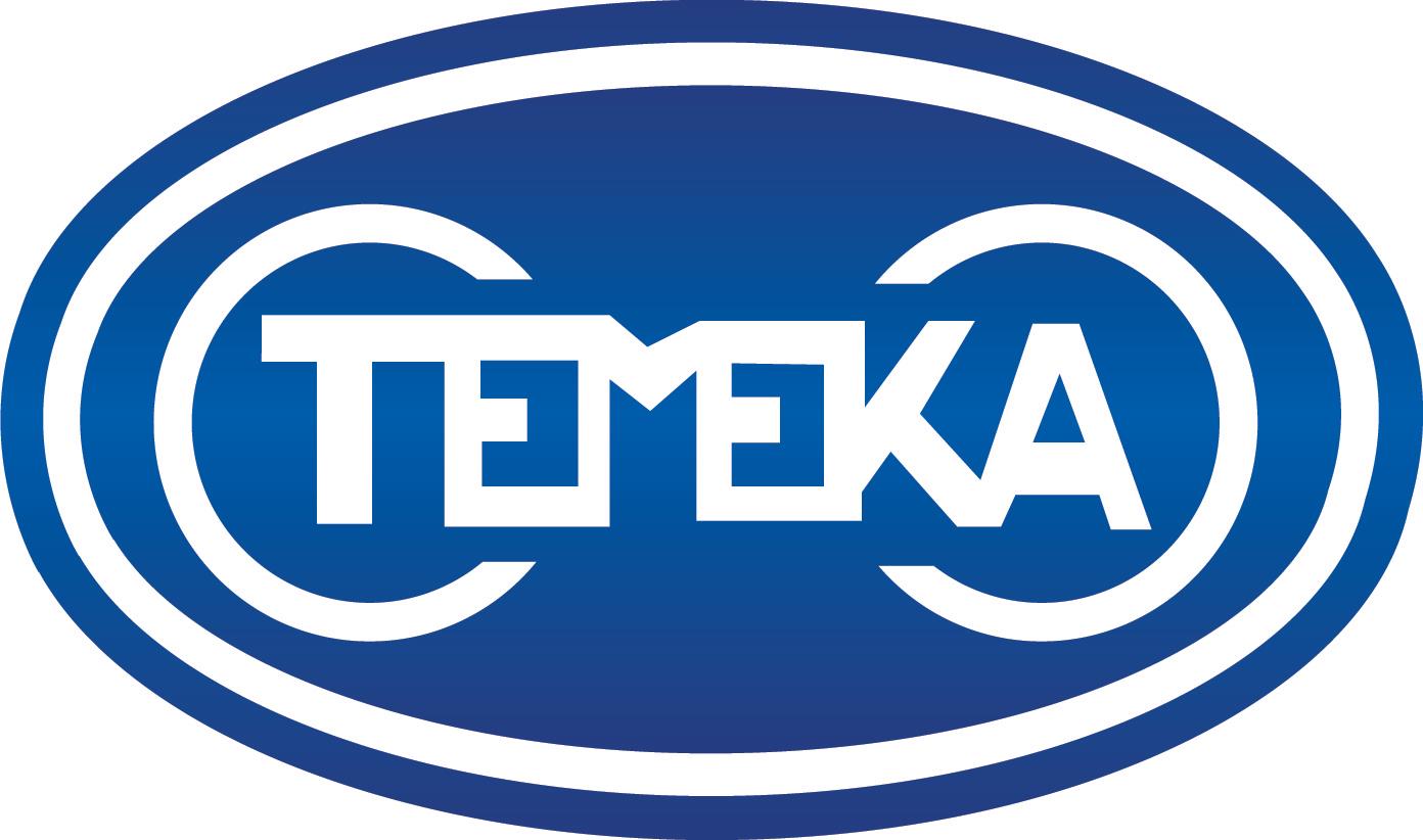 Logo Temeka