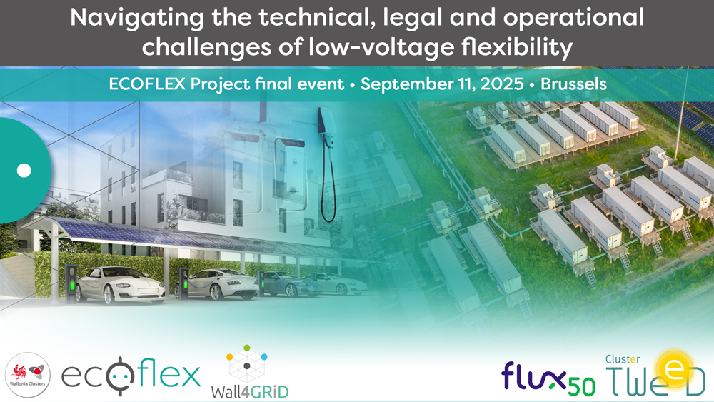 Navigating the technical, legal and operational challenges of low-voltage flexibility • ECOFLEX Project final event • September 11, 2025