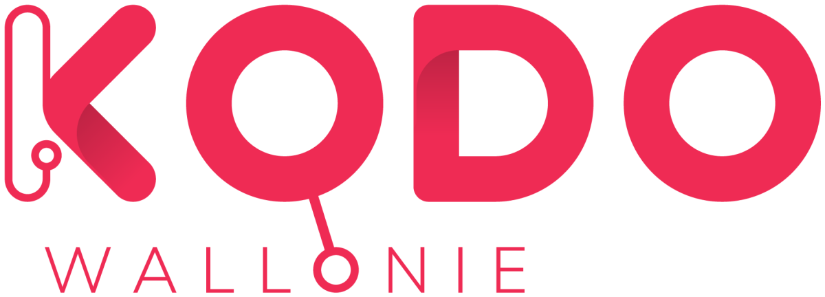 Stages multi-numériques online avec Kodo Wallonie (5)'s banner