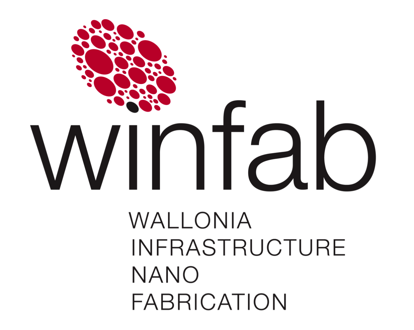 Logo ICTEAM Wallonia Infrastructure Nano FABrication - UCLouvain