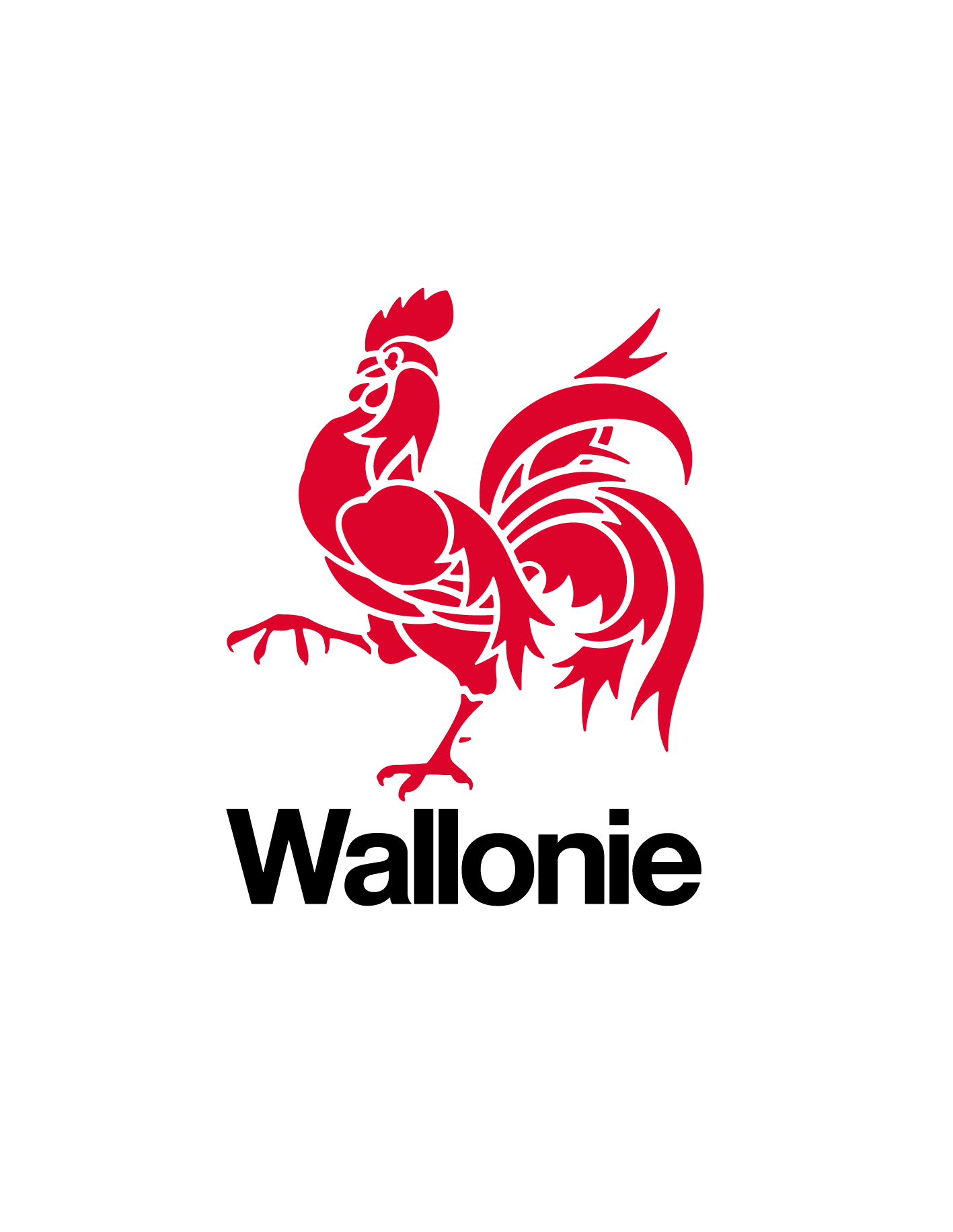 wallonie-logo asset image
