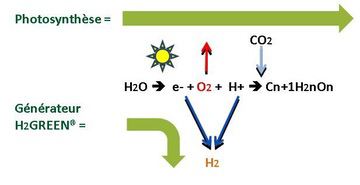 H2GREEN-photosynthese-1 asset image