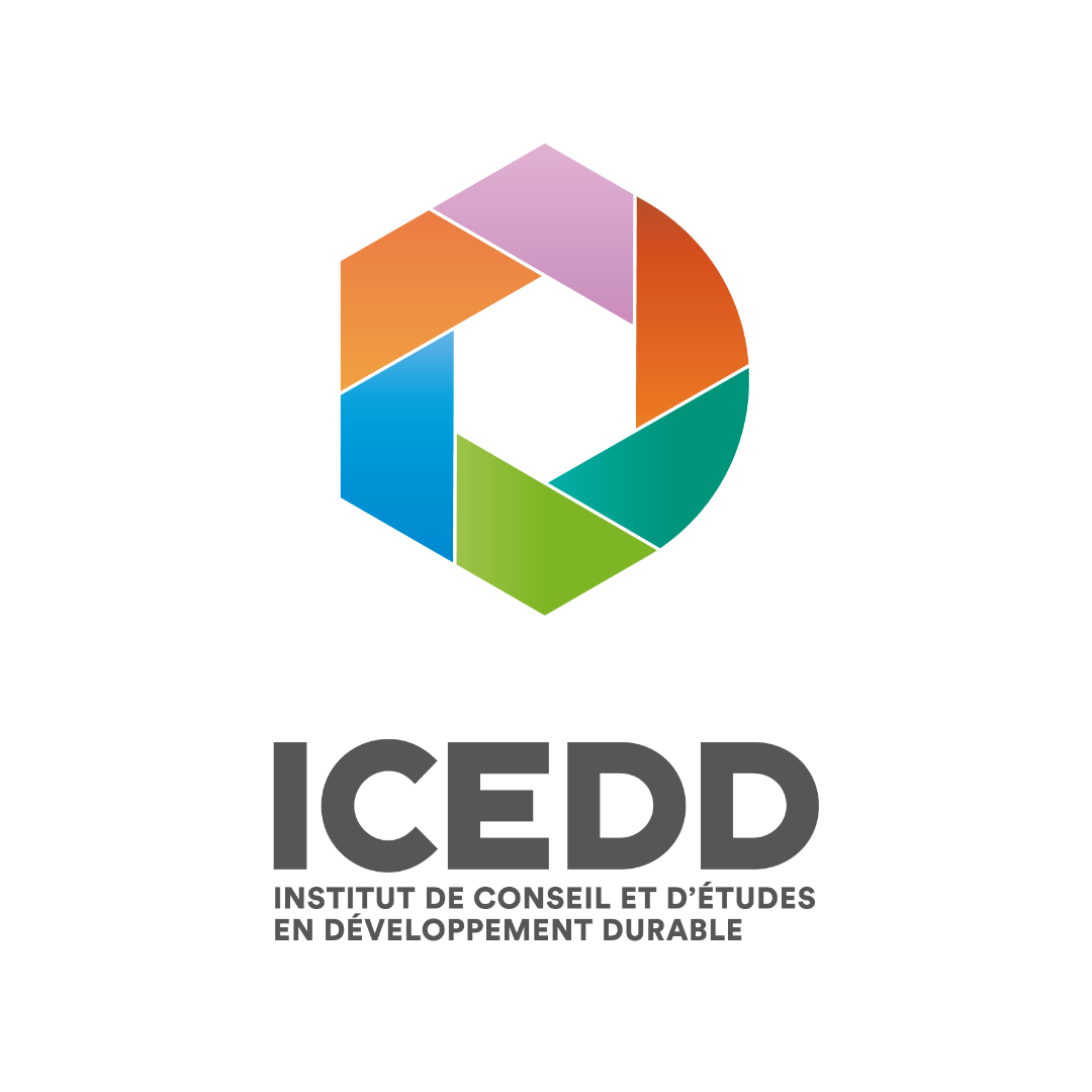 Logo ICEDD