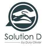Logo Solution D