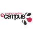 Eurometropolitan e-Campus's logo
