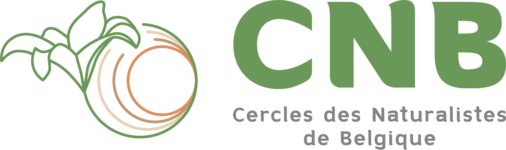 Logo CNB