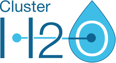 Logo Cluster H2O