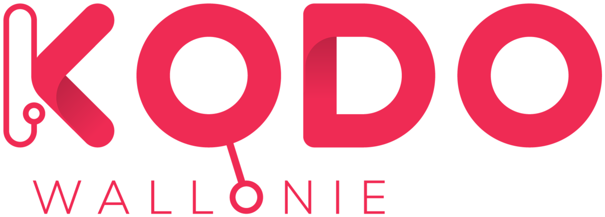 Stages multi-numériques online avec Kodo Wallonie (1)'s banner