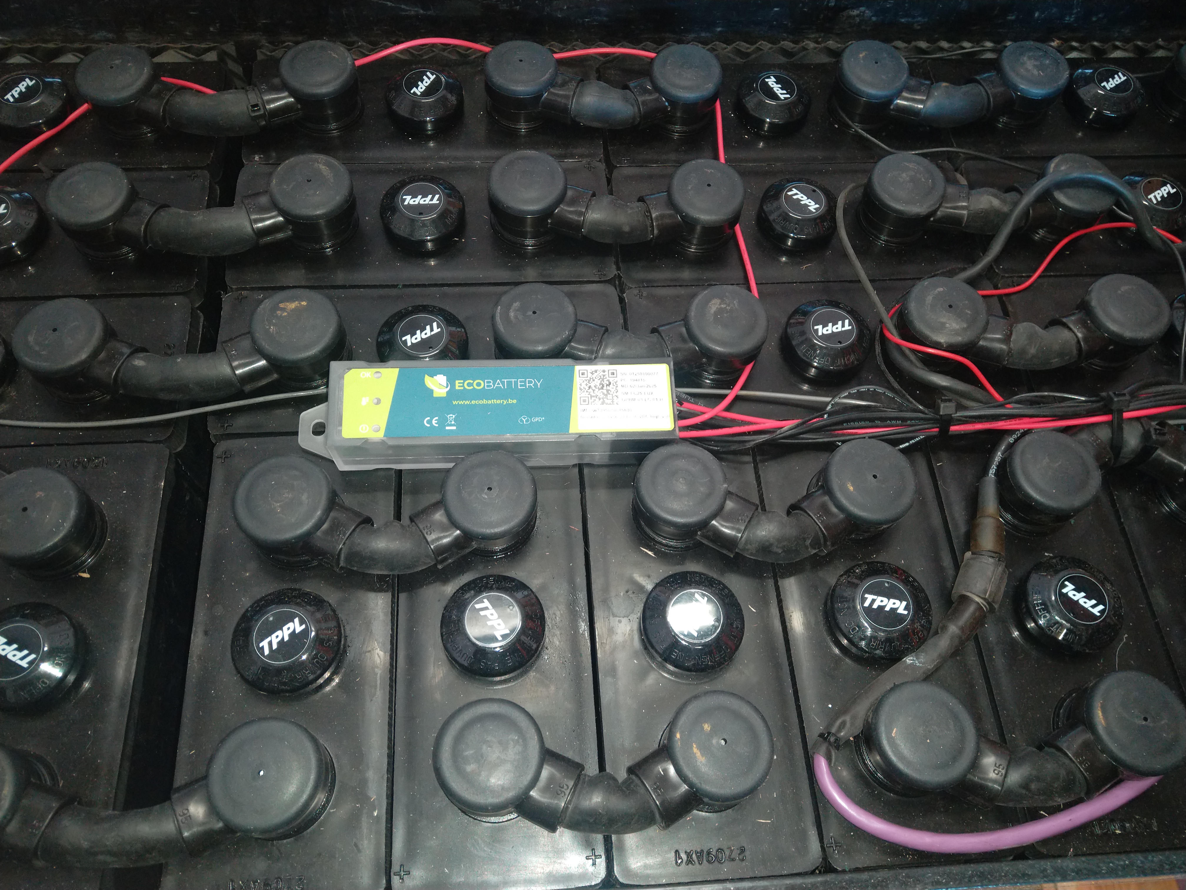 IMG_20250403_084809 asset image