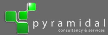 Logo Pyramidal
