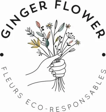 ginger1-362x380.jpg