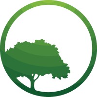 Logo BFConsult