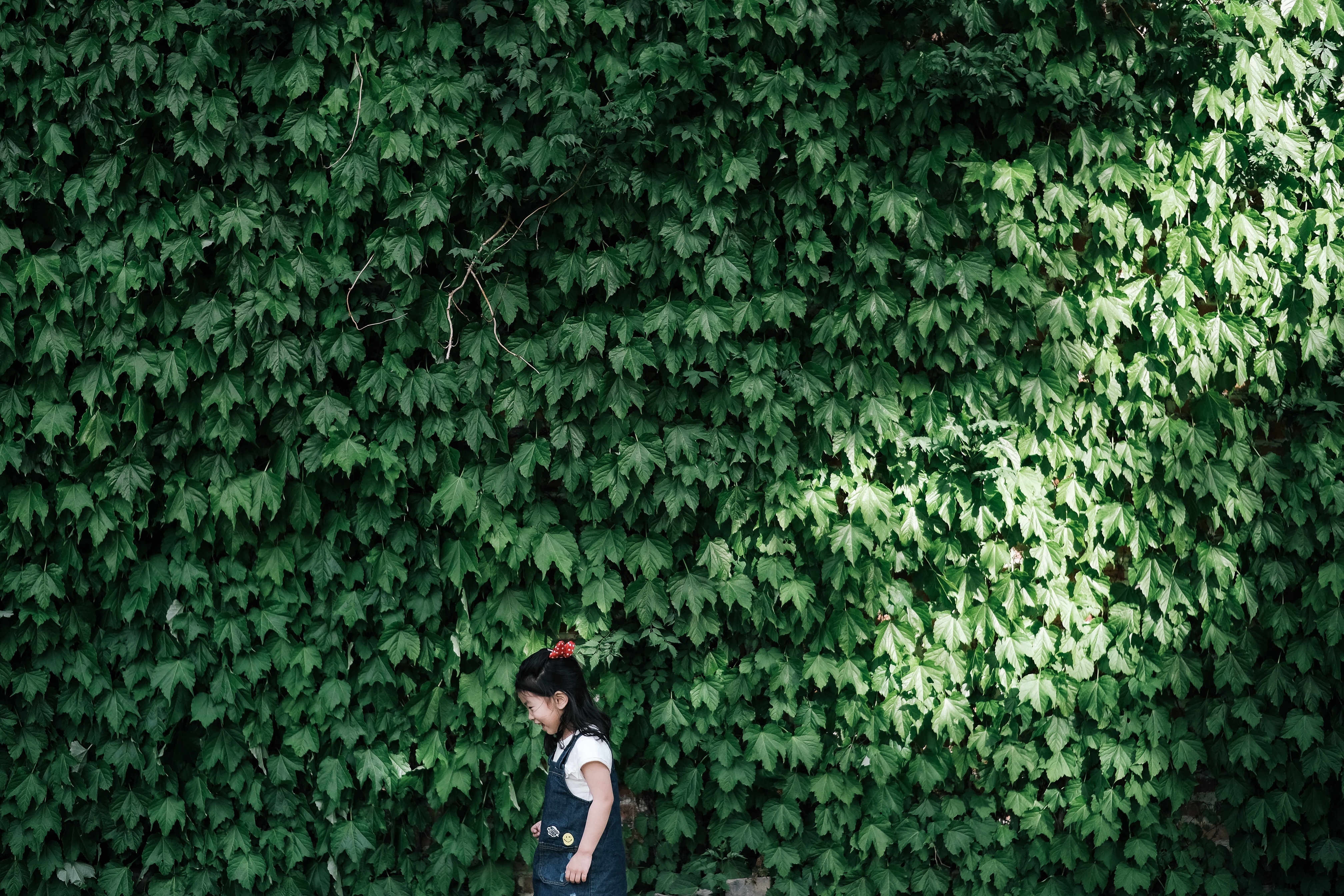 people-2565150