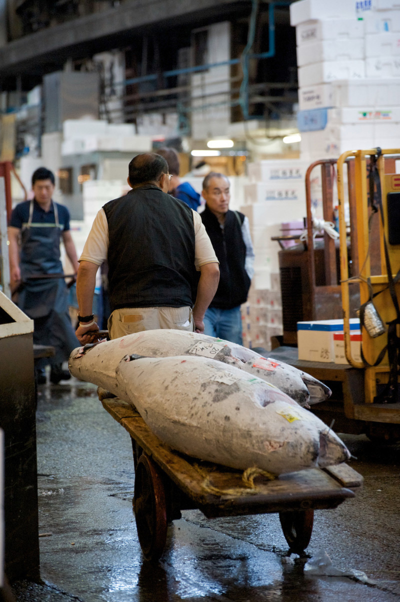 Fish on Cart-20090514