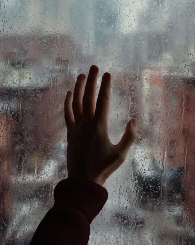 Tears in the Rain