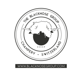 Logo tampon blacknosegroup