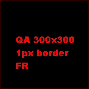 QA Image Description test FR