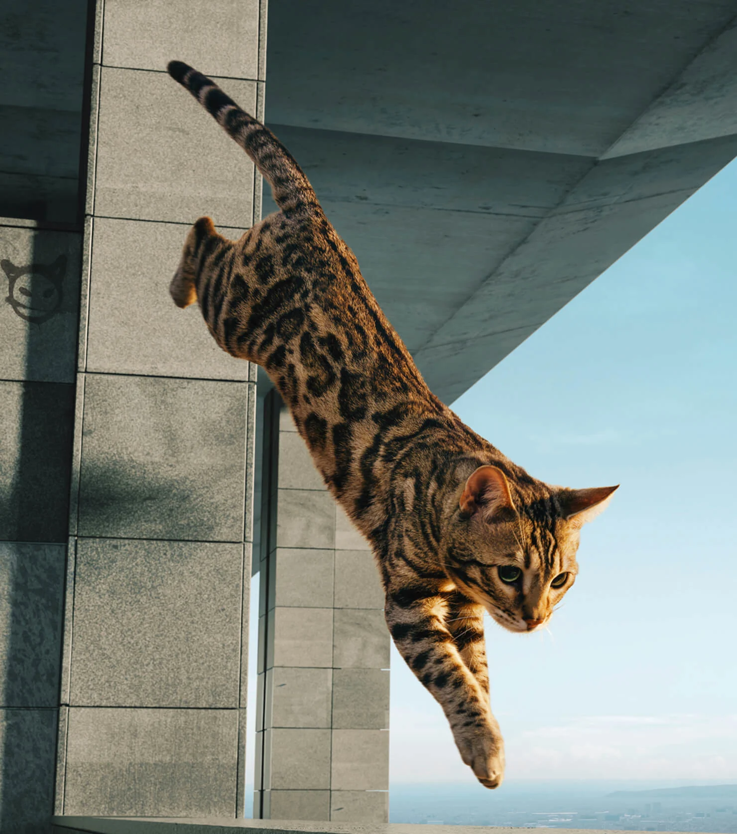 cat jumping down