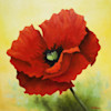 Mama Hazel"s Poppy image