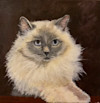 Painting of a cat on a brown background
