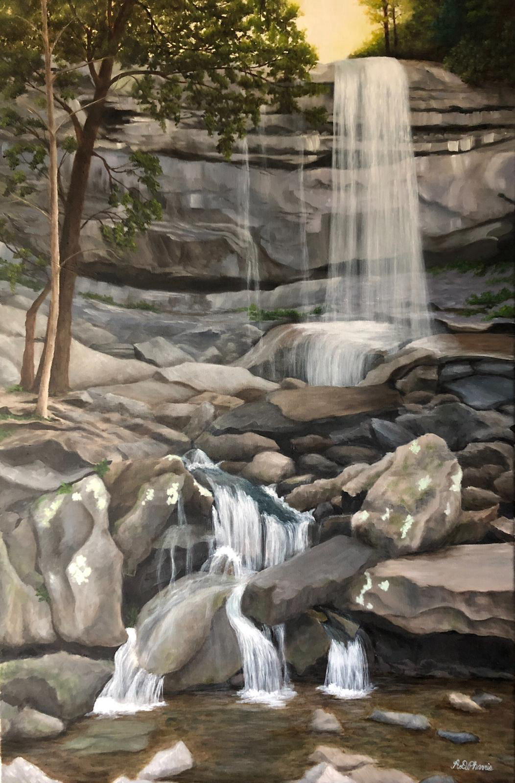 Rainbow Falls image