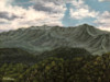 What a View image