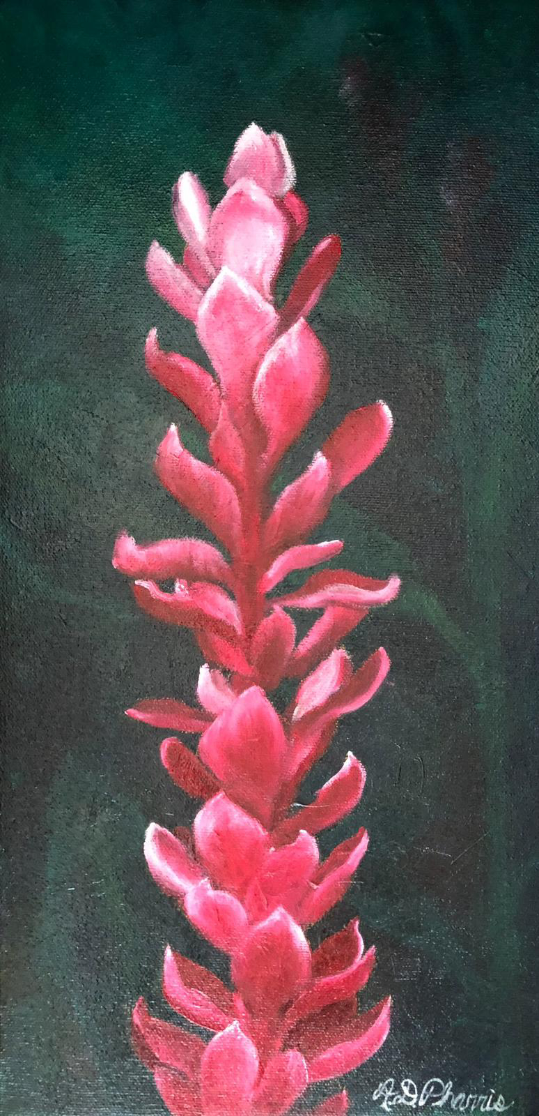 Maui Flower image