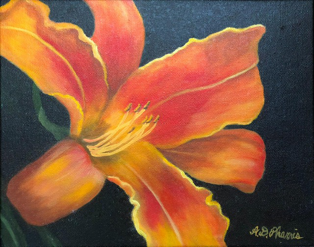 Orange Lily image