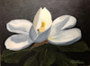 Lynhurst Magnolia on Black Background image