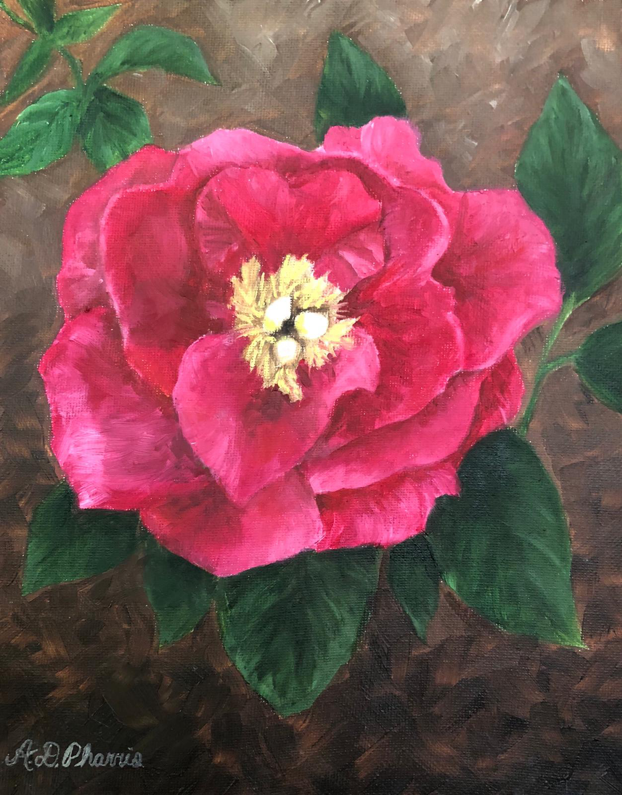 Hot Pink Peony image