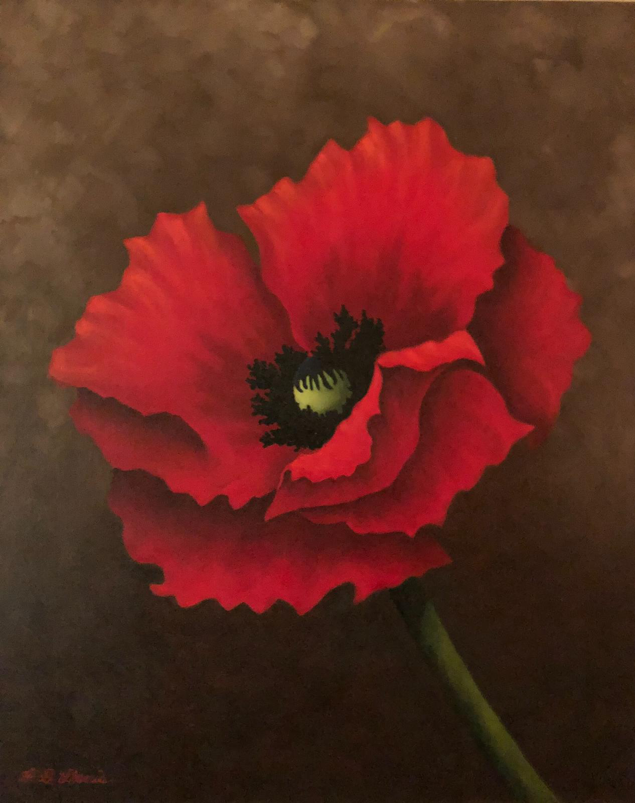 Mama Hazel"s Poppy on Brown Background image
