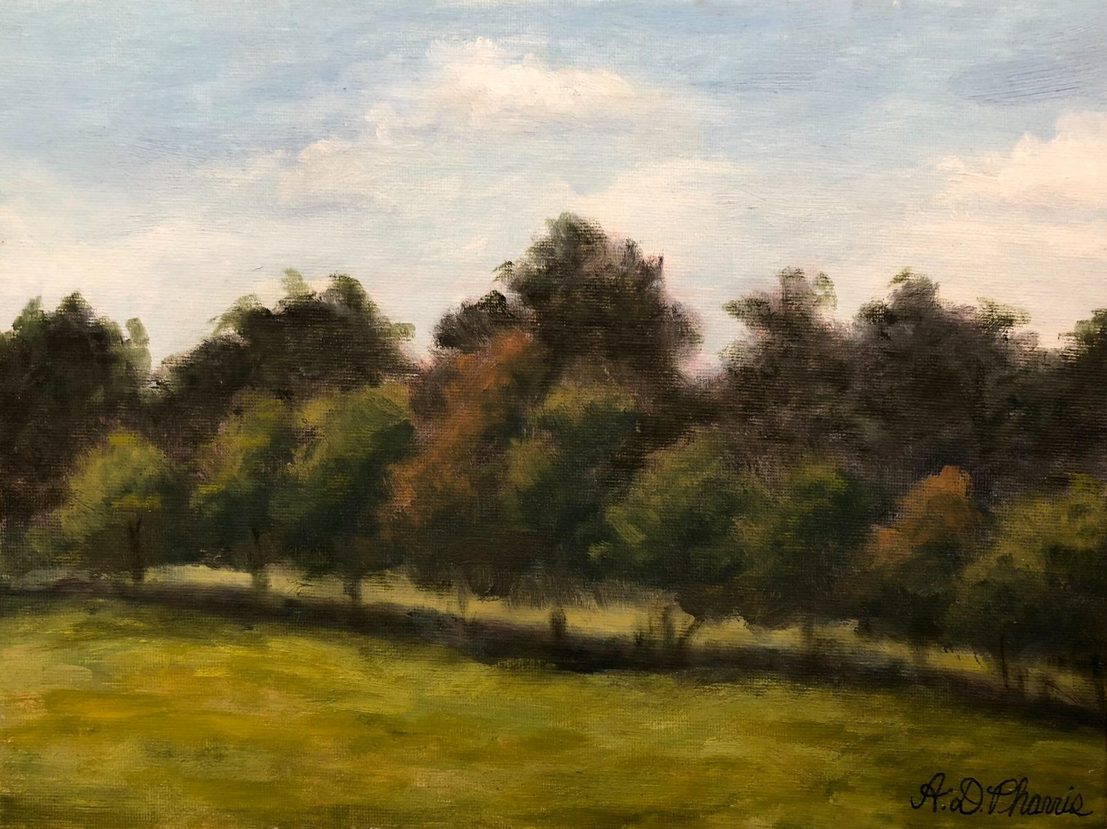 Class Project: Plein Aire from Chestnut Group Workshop image