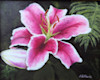 Lily of Julia image