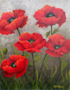 Red Poppies image