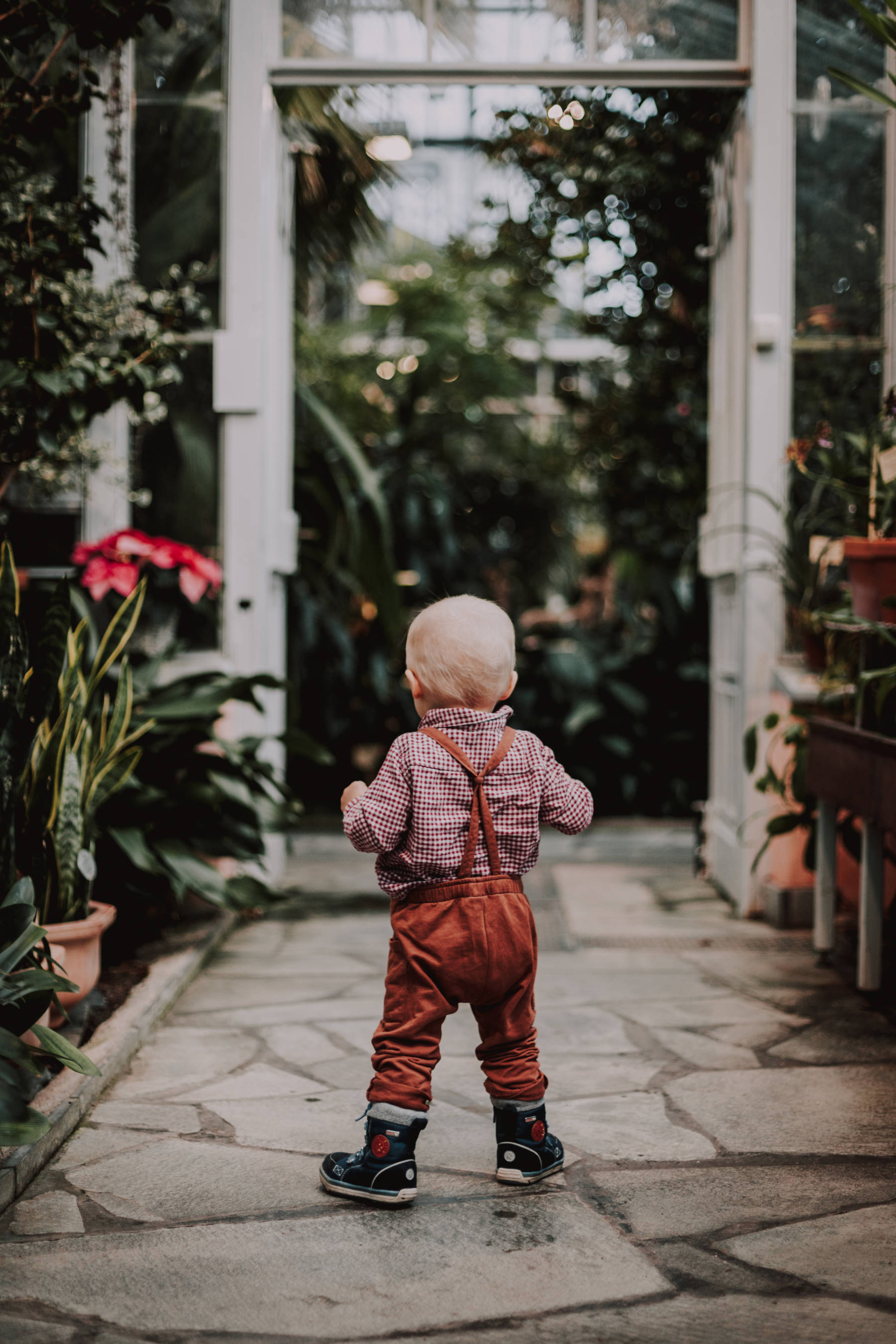 1-vuotias 1-vuotiskuvauksessa seisomassa Talvipuutarhassa Helsingissä