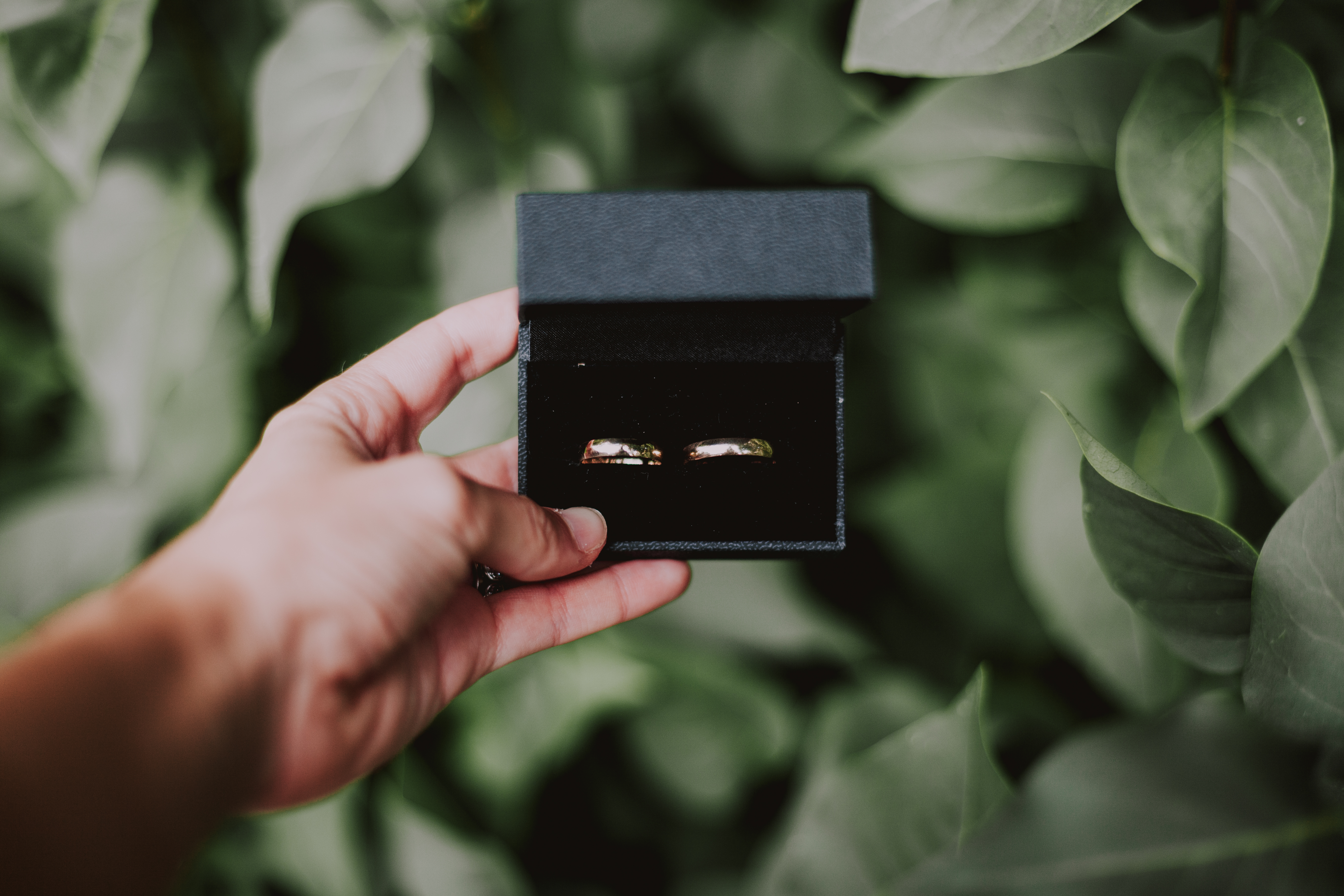 Hääsormukset mustassa rasiassa vihreää pensasta vasten