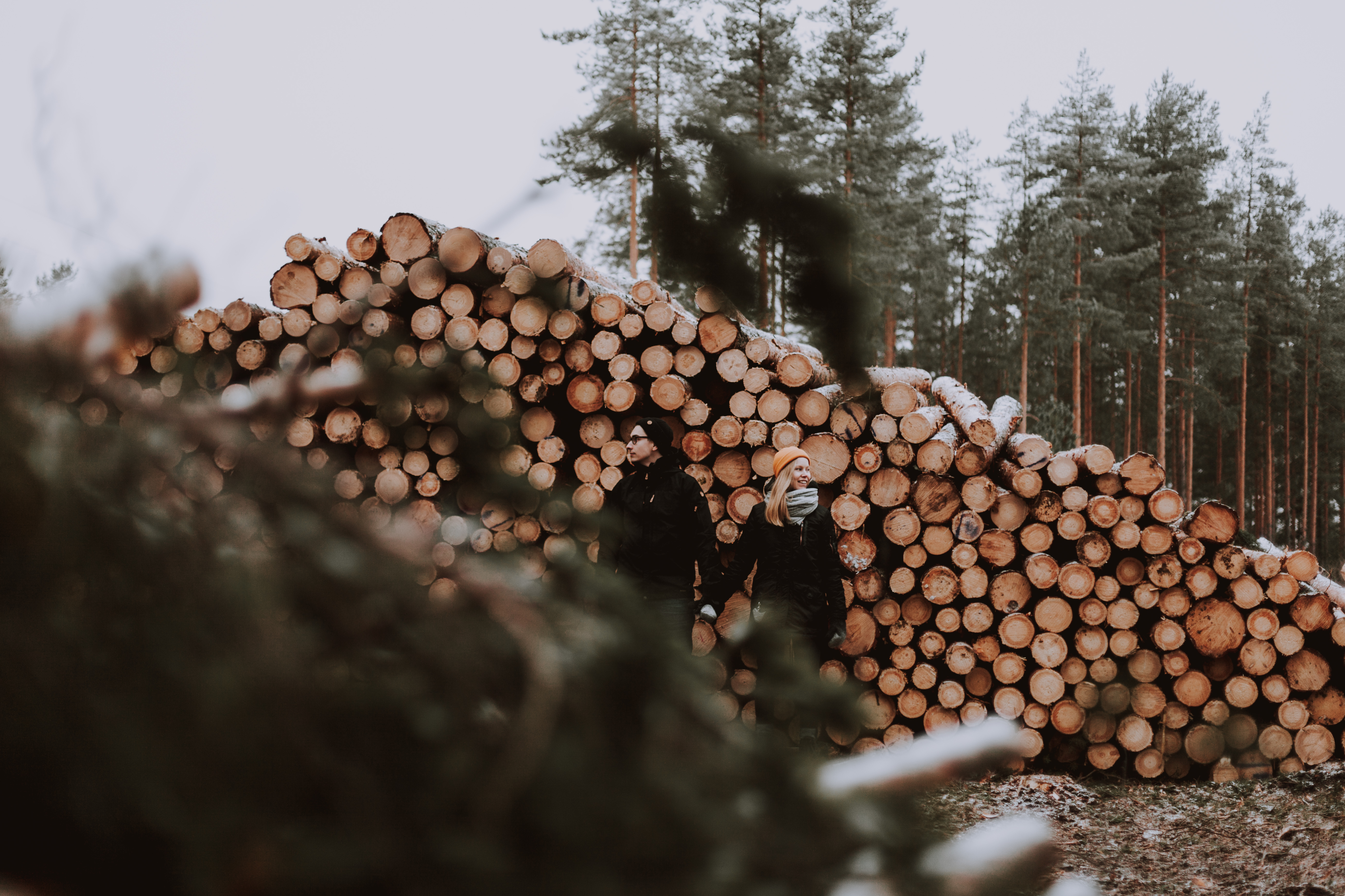 Parikuvaus luonnossa talvella, jossa pariskunta pitää toisiaan kädestä kiinni