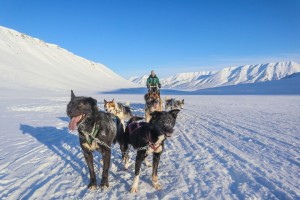 Dogsledding in Bolterdalen Hurtigruten Svalbard 162009 1080 Photo Eveline Lunde