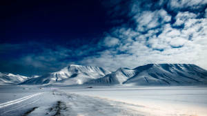 01 Snowcat Northernlight Agurtxane Concellon toppbilder bildekollasj